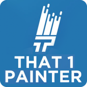 That 1 Painter Twin Cities
